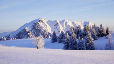 Snowshoe walk to the Simmeringalm hut, © Innsbruck Tourismus / Christian Vorhofer