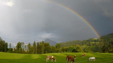 Regenbogenklein