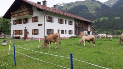 Aussenfoto_Haus Huber_Bach