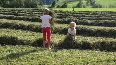 Kinder im Heu