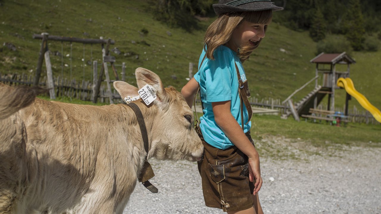 Stubai Young Beef, © Tirol Werbung/Maren Krings