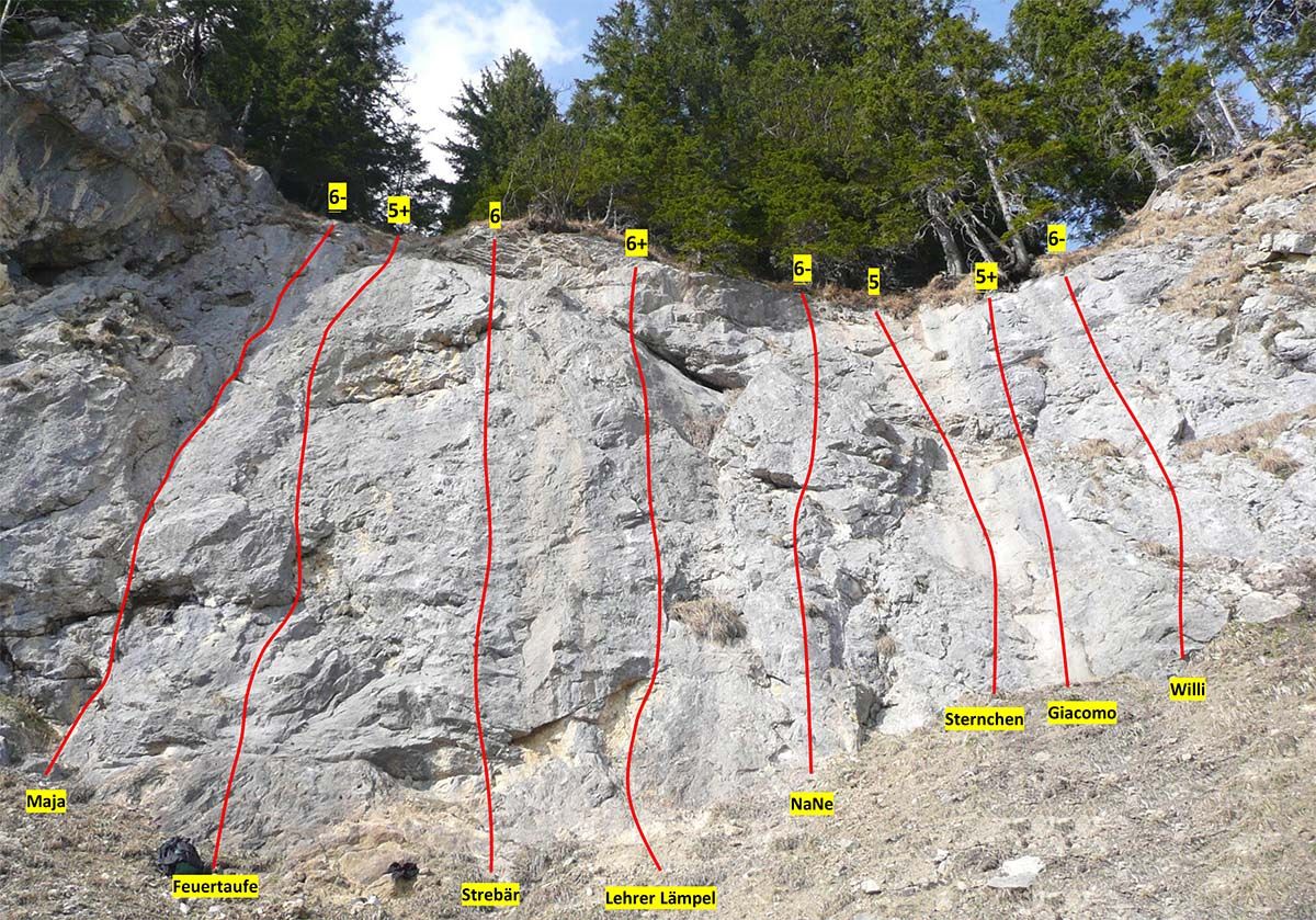 Topography