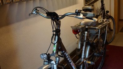 Kostelose E-Bikes im Sommer-Schollberg