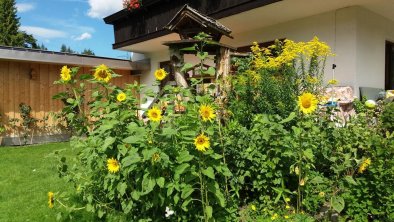 Sonnenblumen vor der Terrasse