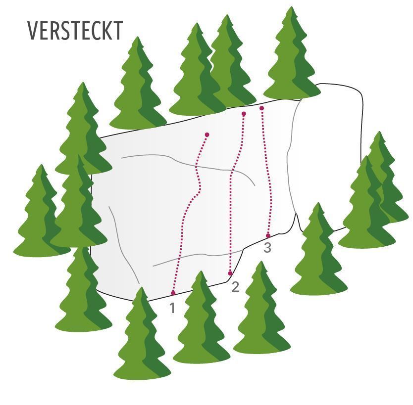 Topography