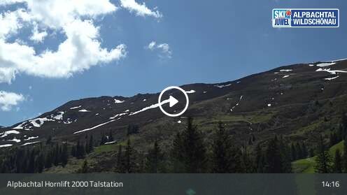 Webcam Hornlift 2000 Talstation
