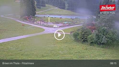 Webcam Filzalmsee