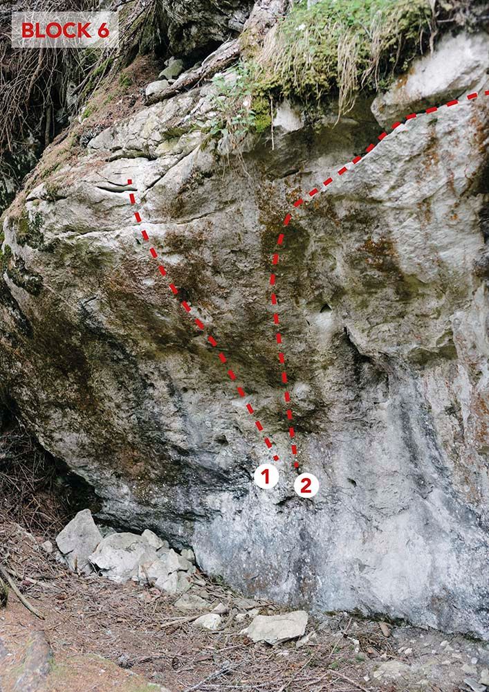 Topography