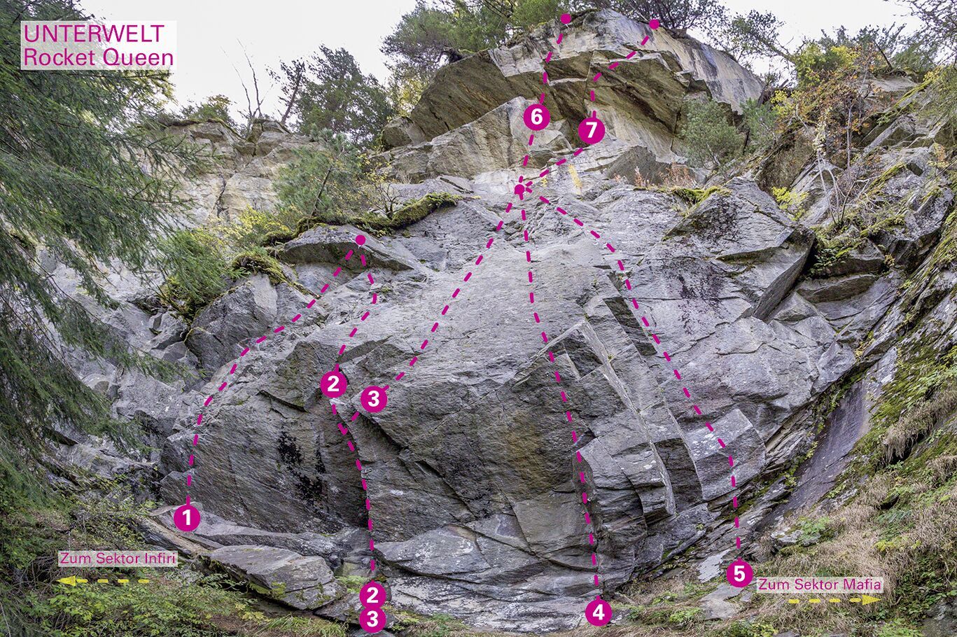 Topography