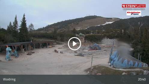 Webcam Triassic Park