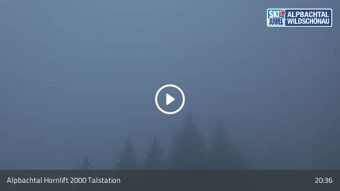Webcam Hornlift 2000 Talstation
