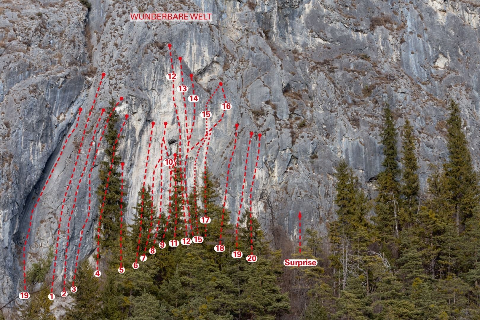 Topography