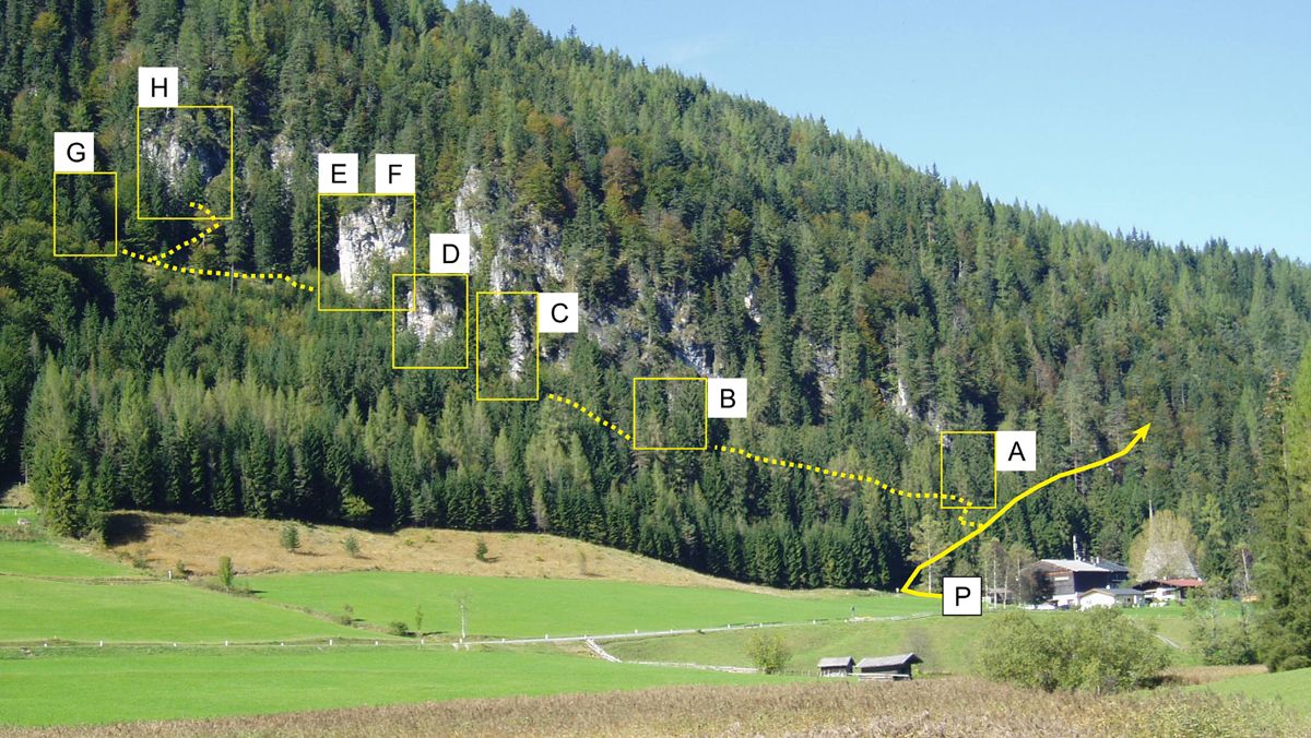 Topography