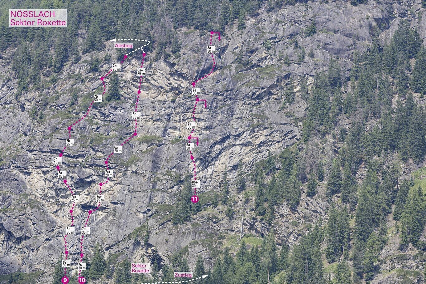 Topography