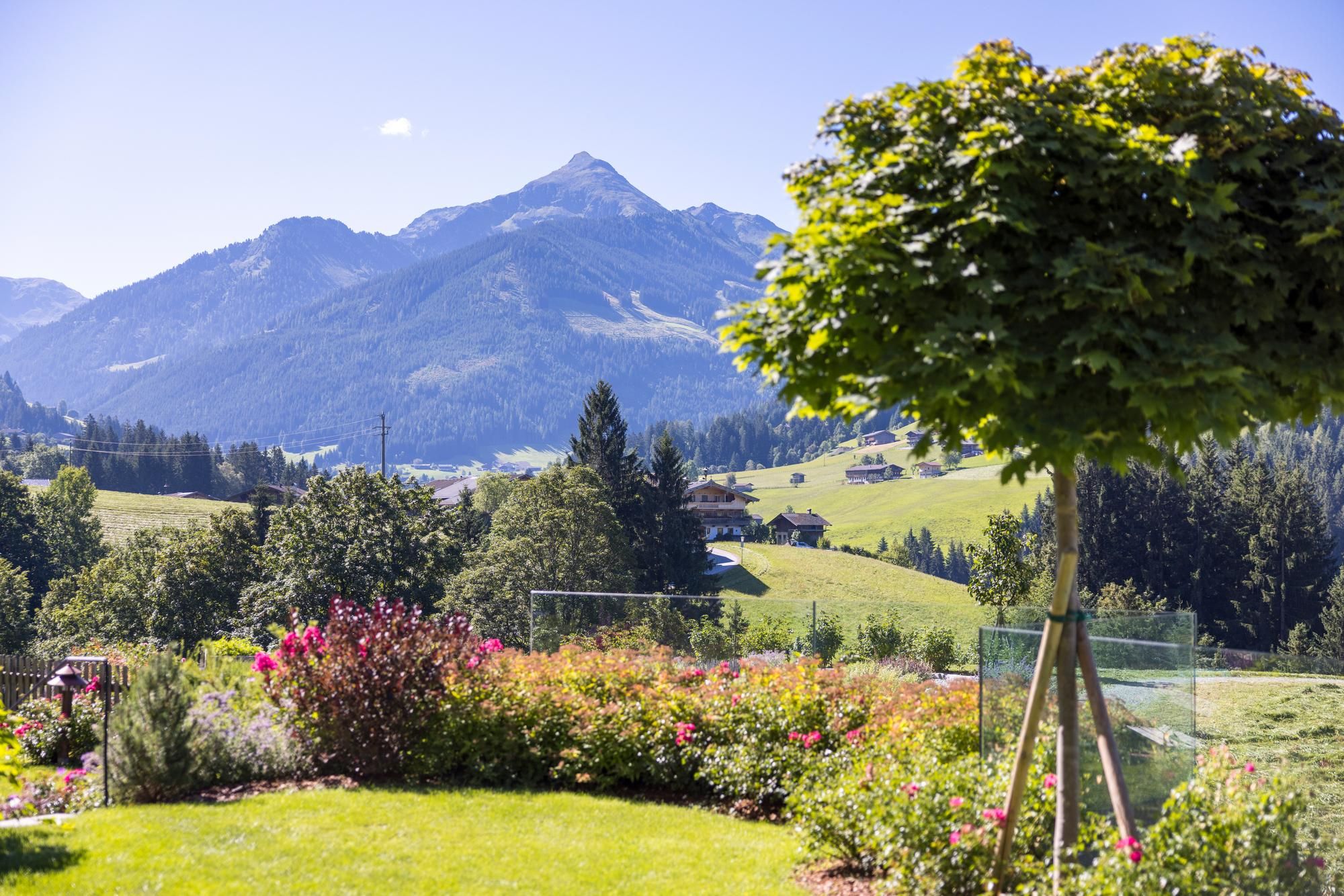 A picturesque landscape with green meadows and mountains in the background. Colorful flowers and a small tree in the foreground complete the scene.