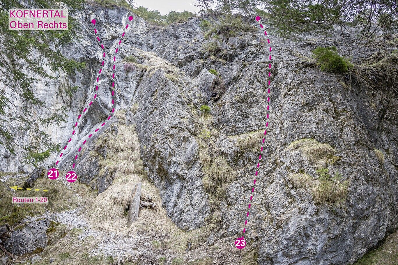 Topography