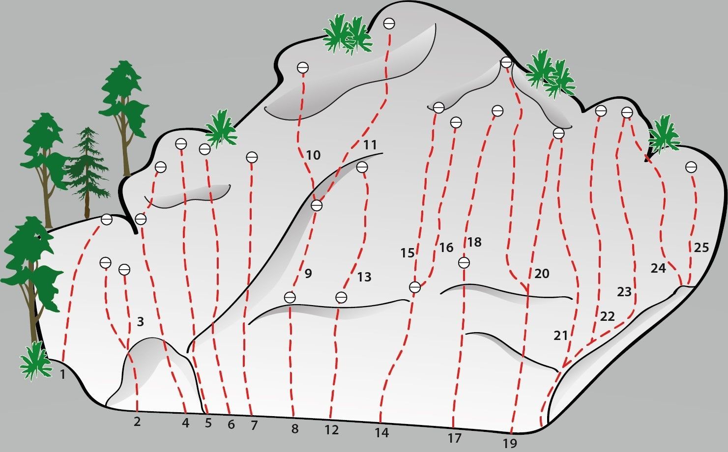Topography