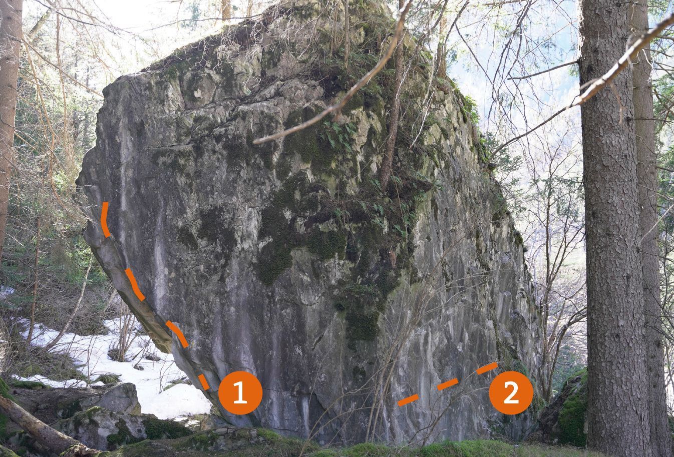 Topography