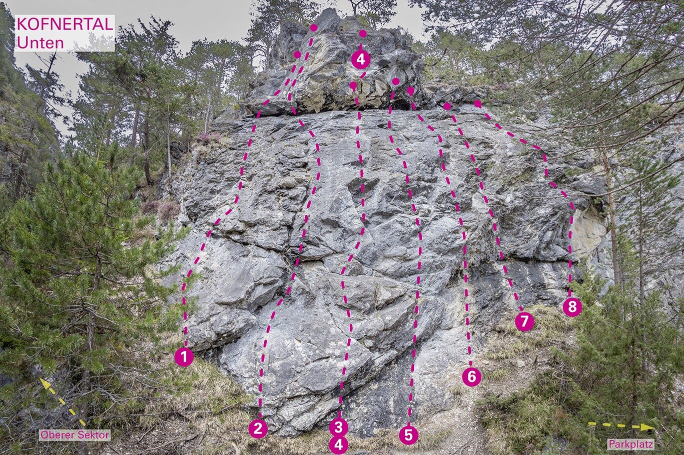 Topography