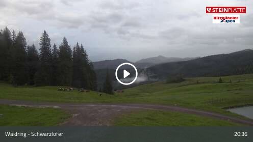 Webcam Schwarzlofer