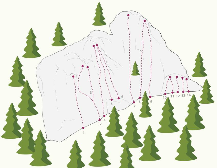 Topography