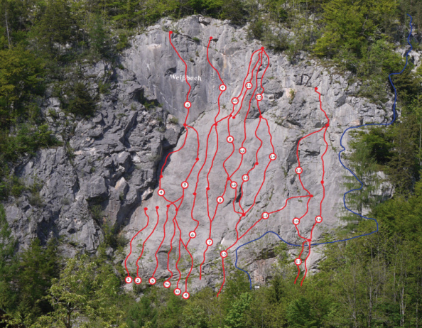 Topography