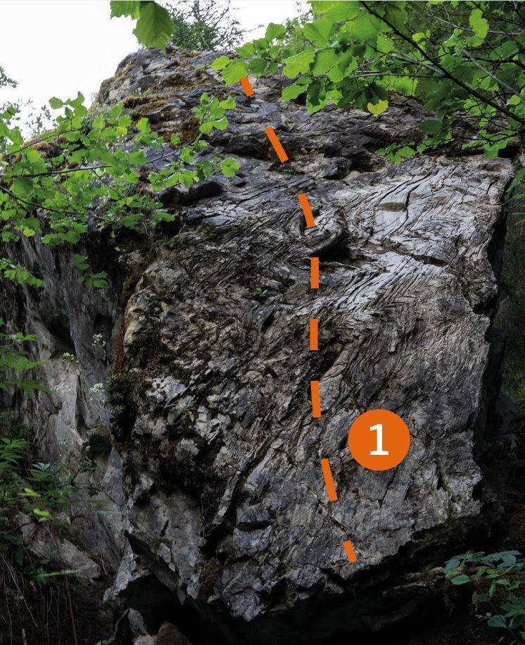 Topography