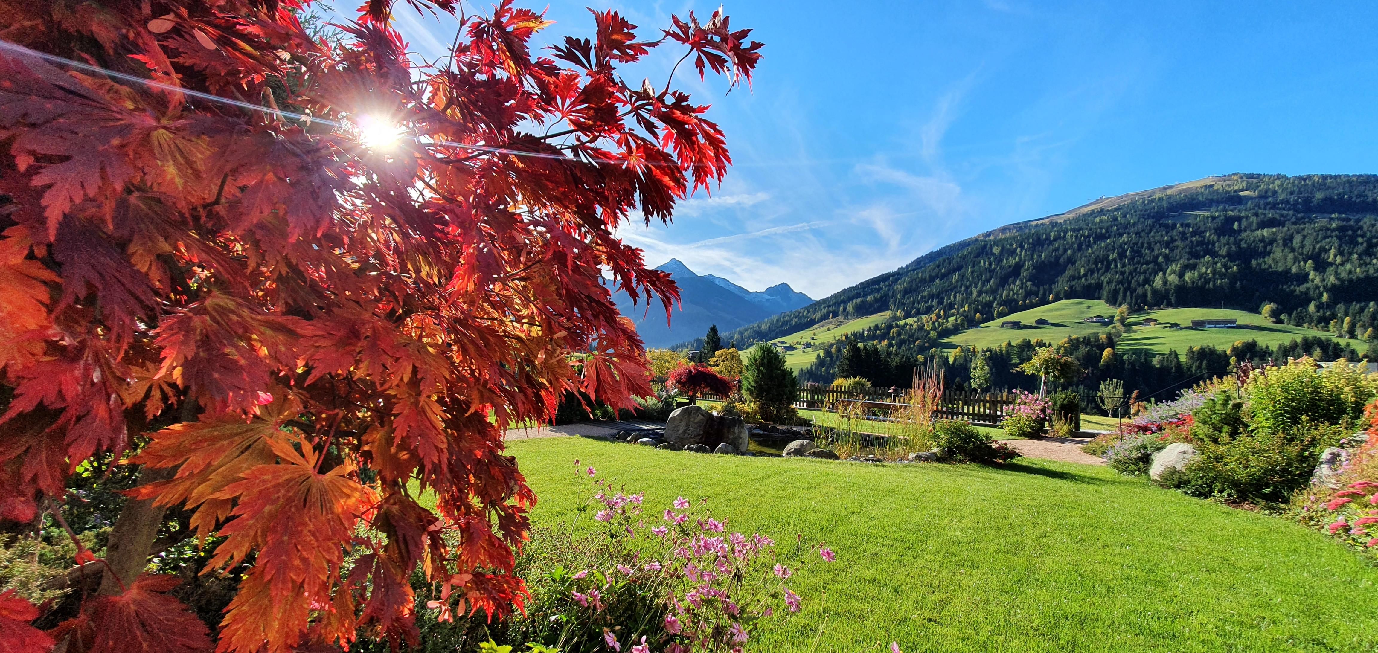 A picturesque landscape with colorful autumn leaves and gentle hills in the background. The clear sky and the sun are shining, while flowers are blooming in the foreground.