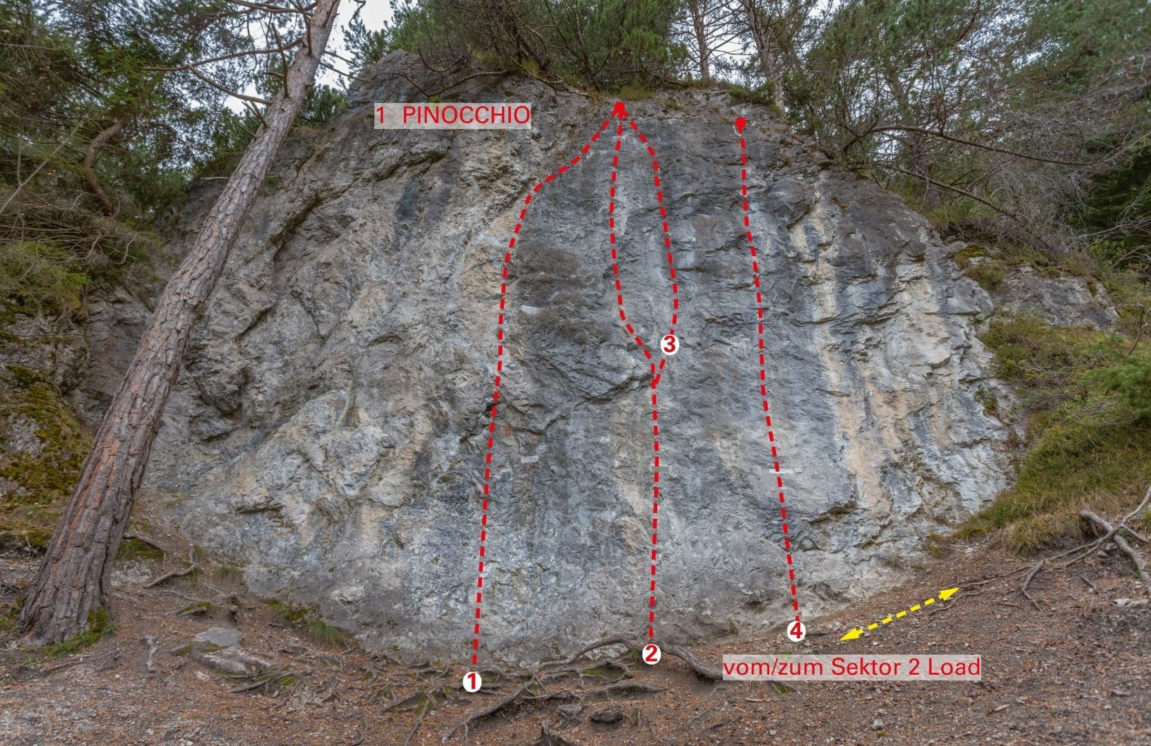 Topography