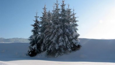 019-bergland-F805-Schnee, Sonne und gute frische L