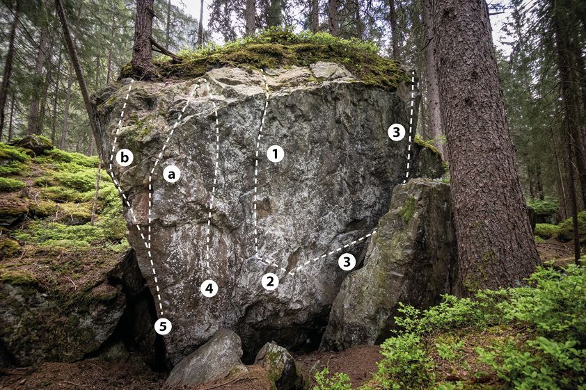 Topography