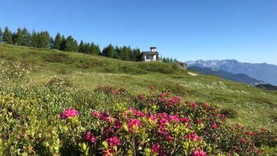 AlmrosenHubertuskapelle, © Alpin-Ferienwohnungen Hochzillertal