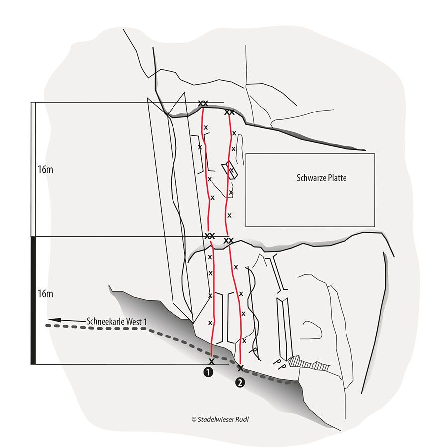 Topography