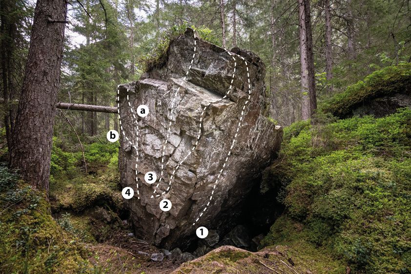 Topography