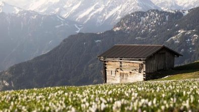 Frühling in den Bergen