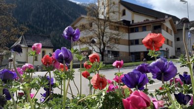 NEUSTIFT APRIL 2020