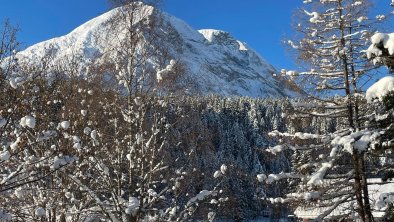 Ausblick1, © Landhaus Ganghofer