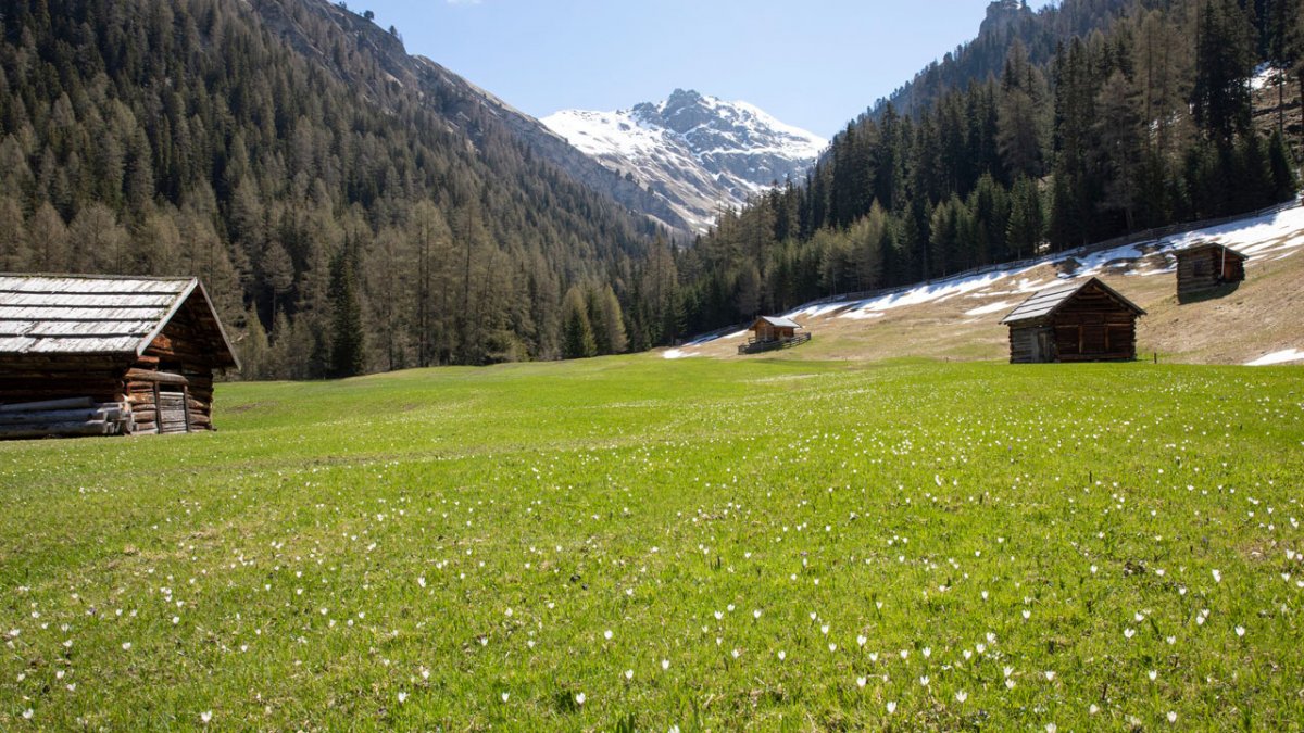 Pfundser Tschey, © Tirol Werbung/Mario Webhofer