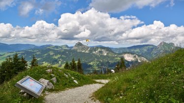 Neunerköpfle Adventure Trail, © TVB Tannheimer Tal / Achim Meurer