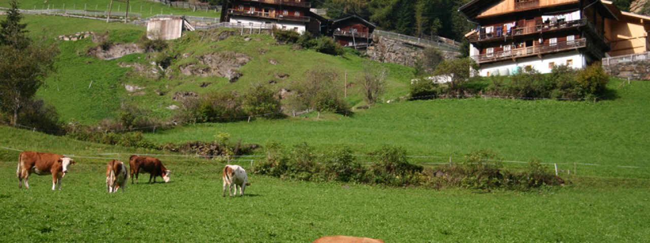 Summer holidays in the Hochpustertal valley, © Osttirol Tourismus
