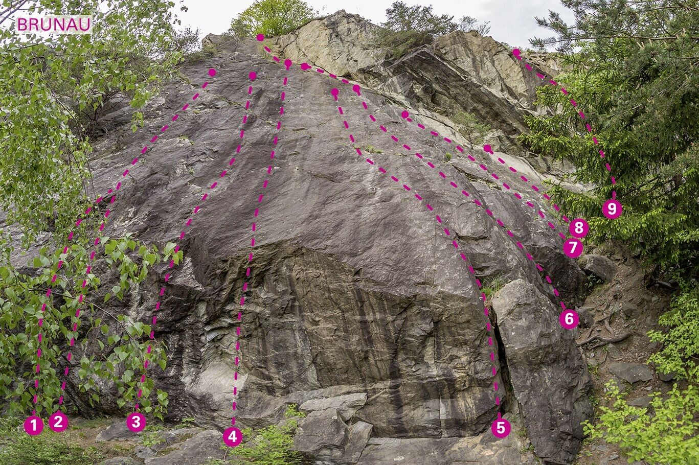 Topography