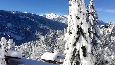 Winter 2019 Garten mit Zwergbaum, © H.S. Wilhelmer