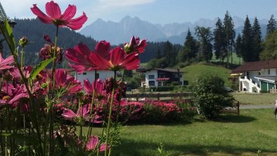 Becker Häusl - Blick nach Süden - Sommer, © Birgit Bohnstedt