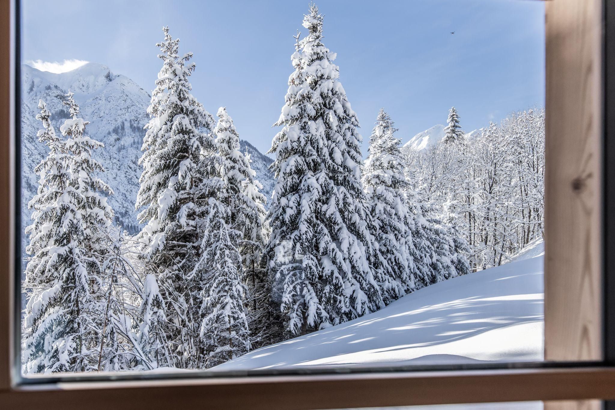 A snowy winter landscape with tall, snow-covered fir trees and mountains in the background. The sky is clear and blue.