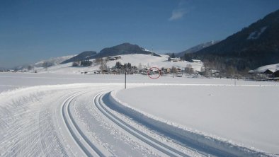 Loipe mit Blick auf unser Haus