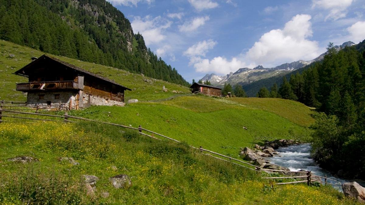 From edelweiss to alpine roses, golden eagles to chamois – Austria’s largest national park is full of fascinating alpine flora and fauna., © Urlaubsregion Defereggental