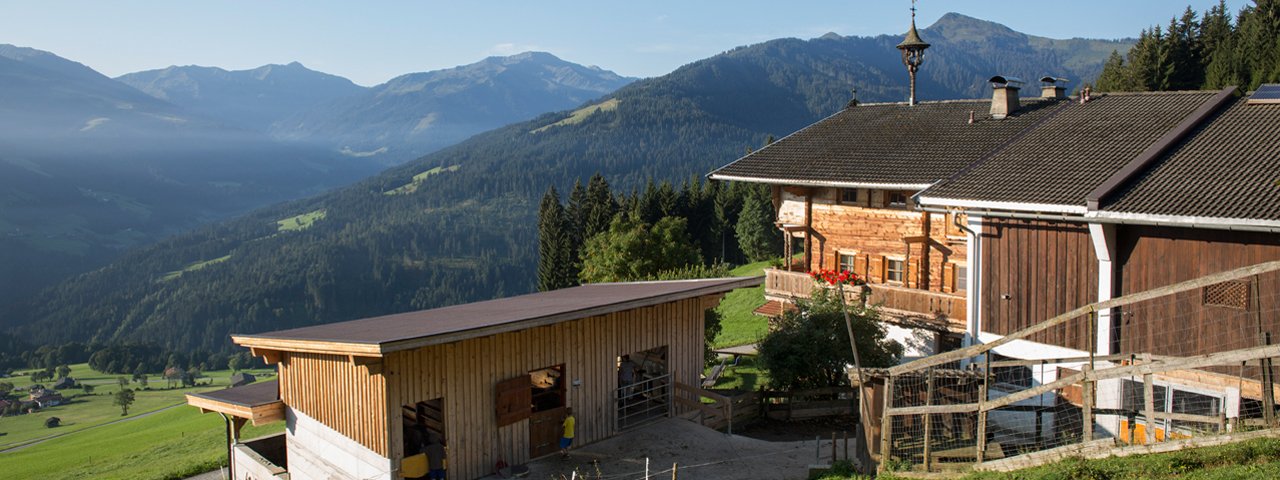 Flecklhof in Hopfgarten, Brixental Valley, © Tirol Werbung/Lisa Hörterer
