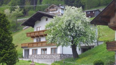 Bahlerhof-Ried im Zillertal-Ferienhaus-Sommer