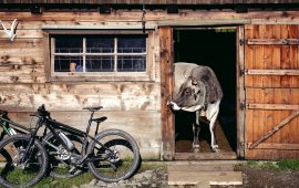 E-Biken in den Kitzbüheler Alpen