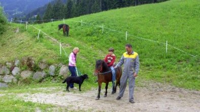 Ponyreiten Am Breierhof